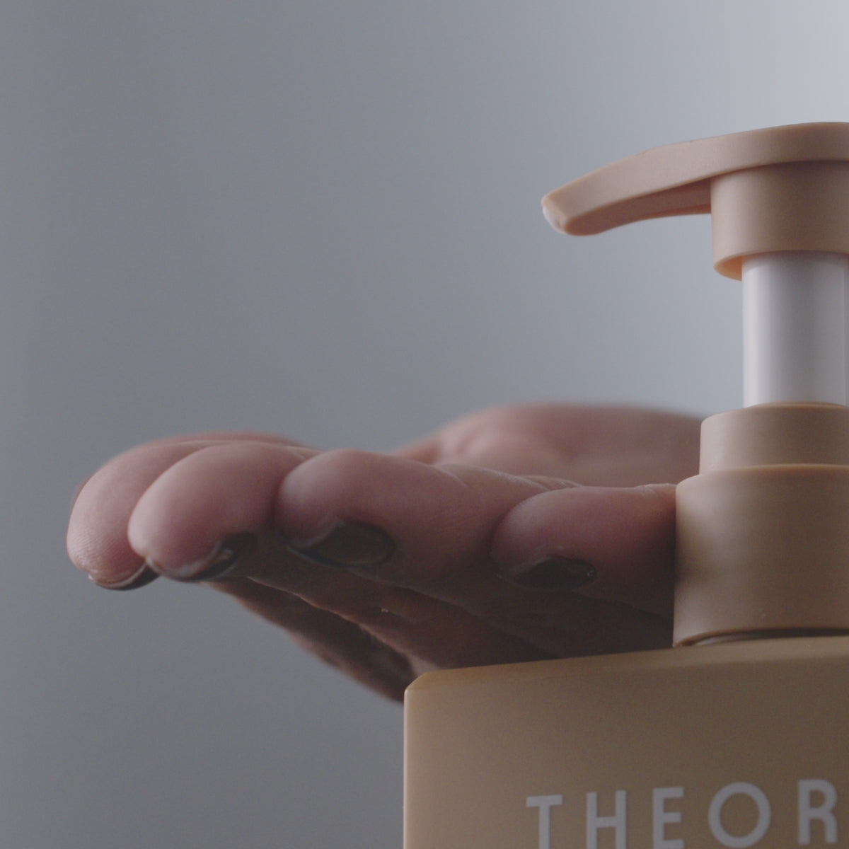 THE BODY RENEWAL KIT